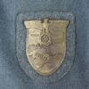 1st Ski-Jäger Division Officer M35 Greatcoat w/ Krim Shield - Image 8