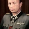 RARE Waffen-SS Collar Tab Set for Brigadeführer (Brigadier General) - Image 2