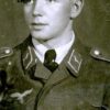 Luftwaffe Field Division Enlisted Collar Tab Set - Uniform Removed - Image 2