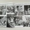 RARE Original Copy by SS-Hauptamt-Schulungsamt of "Der Untermensch" (The Sub-Human) - Image 10