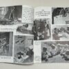 RARE Original Copy by SS-Hauptamt-Schulungsamt of "Der Untermensch" (The Sub-Human) - Image 14