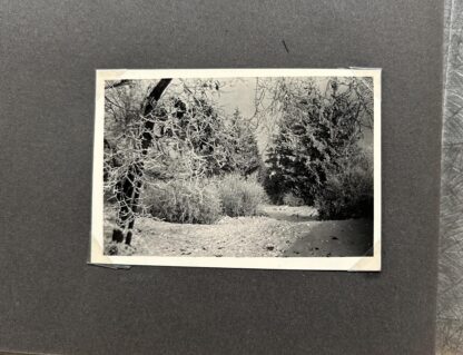 VERY RARE Photo Album for Member of (SS-Totenkopfverbände-Standarte 1 “Oberbayern”) - Image 23