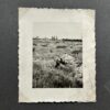VERY RARE Photo Album for Member of (SS-Totenkopfverbände-Standarte 1 “Oberbayern”) - Image 80