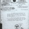 Large Sized NSDAP Member Golden Party Badge - (Identified) - Image 22