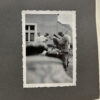 RARE Waffen-SS "Wiking" Division Photo Album - Image 23