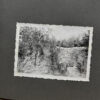 RARE Waffen-SS "Wiking" Division Photo Album - Image 36
