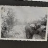 RARE Waffen-SS "Wiking" Division Photo Album - Image 37