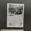 RARE Waffen-SS "Wiking" Division Photo Album - Image 38