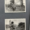 RARE Waffen-SS "Wiking" Division Photo Album - Image 41