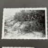 RARE Waffen-SS "Wiking" Division Photo Album - Image 44
