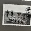 RARE Waffen-SS "Wiking" Division Photo Album - Image 46
