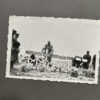RARE Waffen-SS "Wiking" Division Photo Album - Image 51