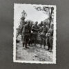 RARE Waffen-SS "Wiking" Division Photo Album - Image 60