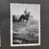 RARE Waffen-SS "Wiking" Division Photo Album - Image 83