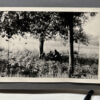 RARE Waffen-SS "Wiking" Division Photo Album - Image 87