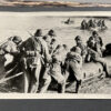 RARE Waffen-SS "Wiking" Division Photo Album - Image 88