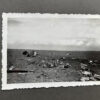 RARE Waffen-SS "Wiking" Division Photo Album - Image 93