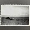 RARE Waffen-SS "Wiking" Division Photo Album - Image 94