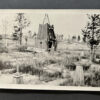 RARE Waffen-SS "Wiking" Division Photo Album - Image 106