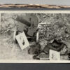 RARE Waffen-SS "Wiking" Division Photo Album - Image 107