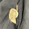VERY RARE Early SS-Verfügungstruppe "Germania" Service Tunic - Image 21