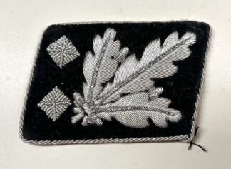 VERY RARE Waffen/Allgemeine-SS 'Obergruppenführer' Collar Tab - (Uniform Removed)